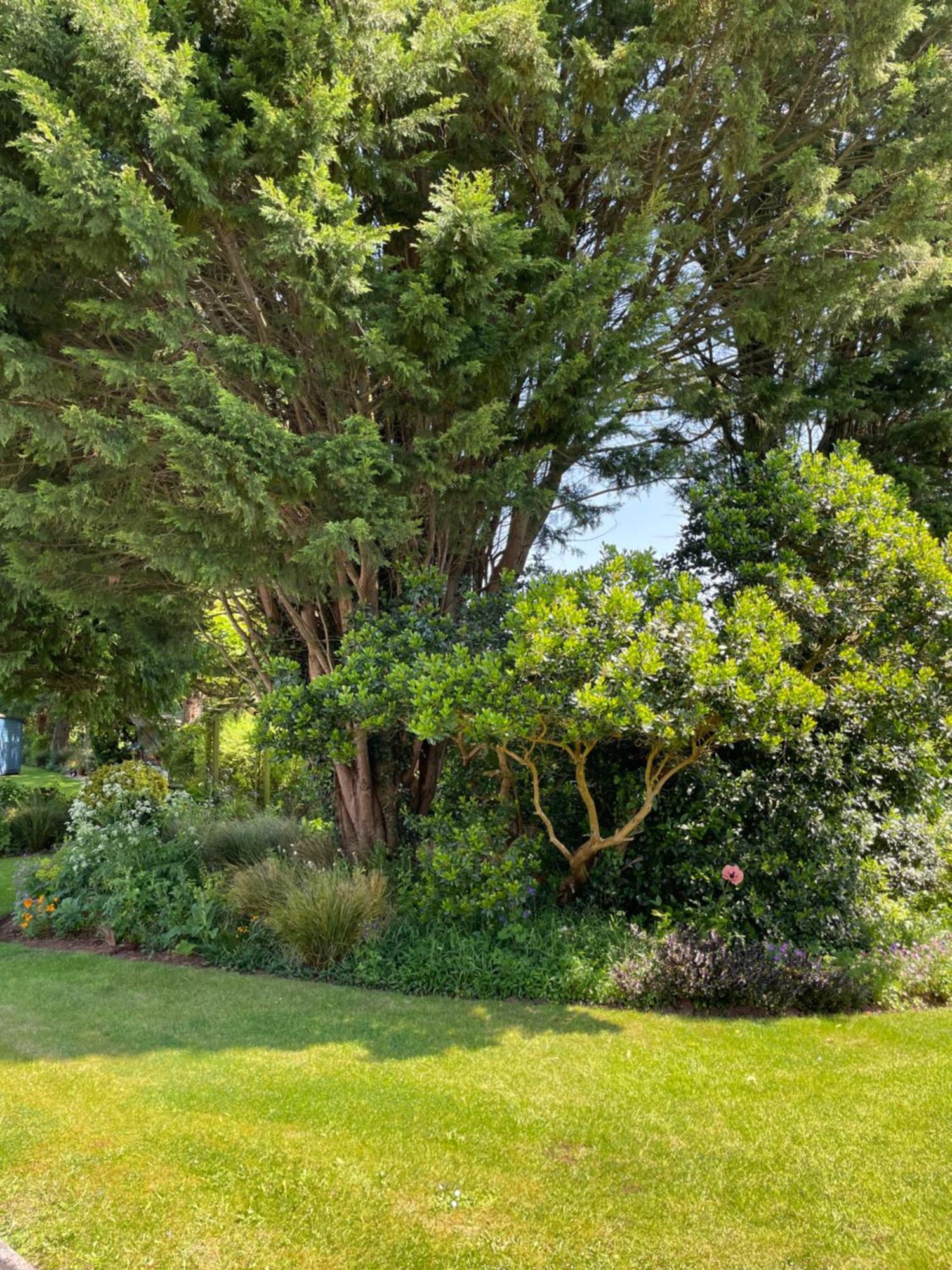 Villa Leylands Annexe East Harptree Esterno foto