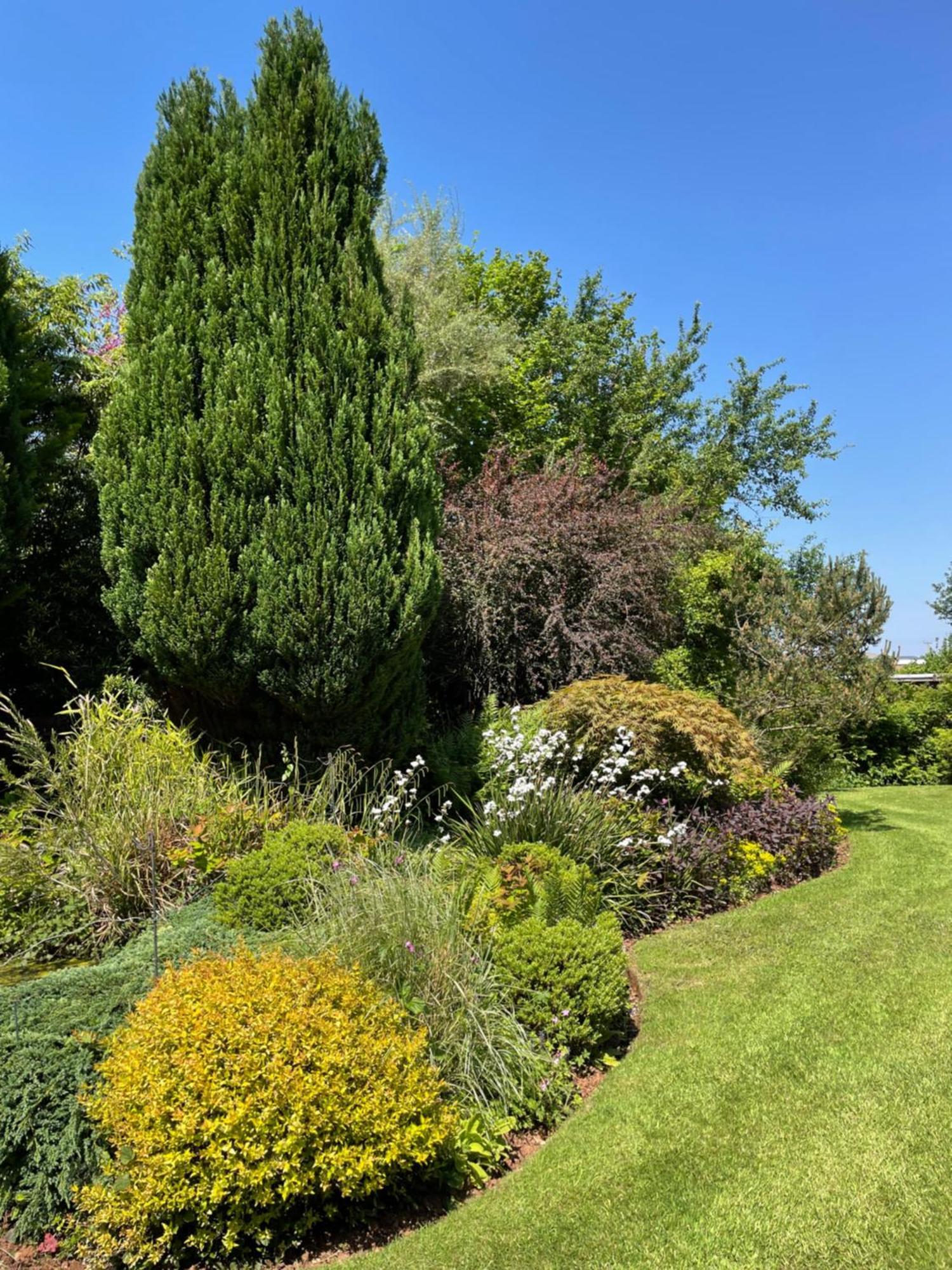 Villa Leylands Annexe East Harptree Esterno foto